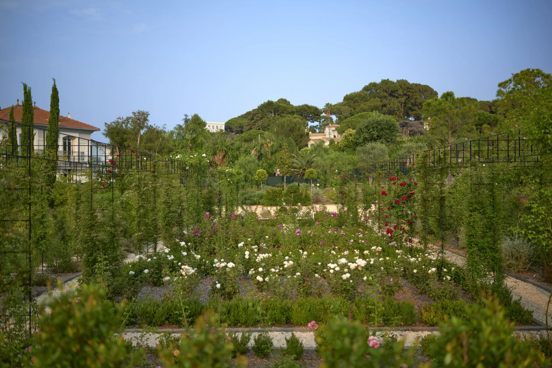Rose garden at Domaine de la Belle Étoile with formal planting, iron trellises and an abundance of flowering roses in bloom