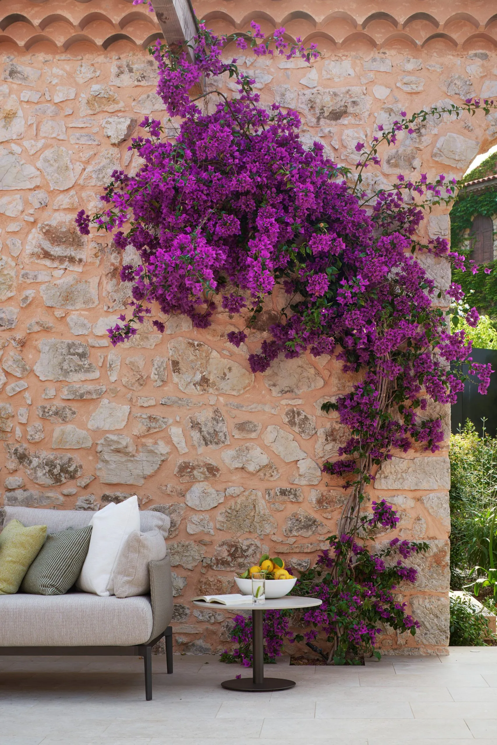 Outdoor seating area at Domaine de la Belle Étoile with vibrant bougainvillea climbing a traditional Provençal stone wall
