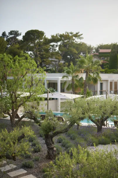 Domaine de la Belle Étoile villa exterior viewed through mature olive trees and lavender gardens with pool and parasols beyond